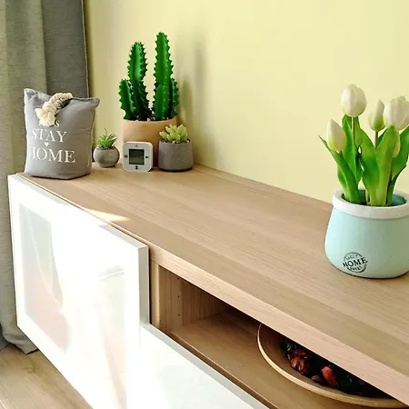 Apartment Nest2